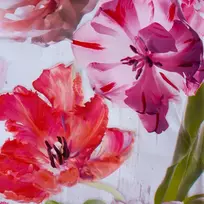 Aliejinė staltiesė TERRE 120x140 cm