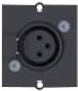 Bachmann - Modulares Faceplate-Snap-In - 3 PIN XLR - Schwarz
