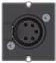 Bachmann Custom Module 1 x XLR socket - Modulares Faceplate-Snap-In - XLR (5-polig) - Schwarz (917.101)