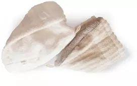 Pirties kepurė su gintaru