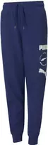 Puma Kelnės Paaugliams Alpha Sweatpants Mėlyna 585895 12