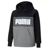 Puma džemperis