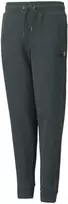 Puma Kelnės Paaugliams Alpha Holiday Sweatpants Žalias 845634 80