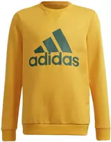 Adidas Džemperis Paaugliams B Bl Sweat Žalias Geltona GS4274