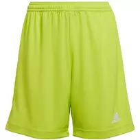 Šortai berniukams Adidas Entrada 22 Jr HC5065, žali