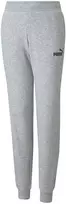Puma Kelnės Paaugliams Ess Sweatpants Tr Pilkas 587037 04