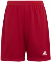 Adidas Šortai Paaugliams Ent22 Short Y Raudona H57501