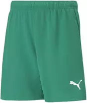 Puma Šortai Paaugliams Teamrise Short Jr Žalias 704943 05