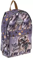 Laisvalaikio kuprinė DREAMY OWL, ErichKrause, 12L, 260g