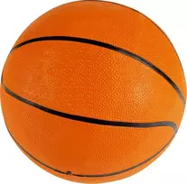 Lifetime Guminis krepšinio kamuolys