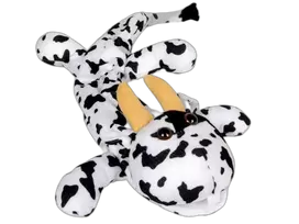 Įmautė stetofonendoskopui