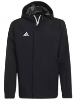 Adidas striukė