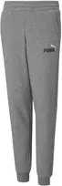Puma Sportinės Kelnės Paaugliams Ess+ 2 Col Logo Pants Fl Pilkas 586988 03