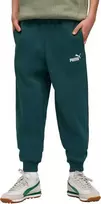 Puma Kelnės Paaugliams Ess No.1 Logo Sweatpants Fl Dark Žalias 684912 75