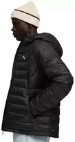 Puma striukė