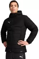 Puma striukė