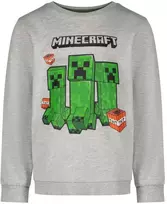 Minecraft vaikiškas megztinis 6 metų vaikams