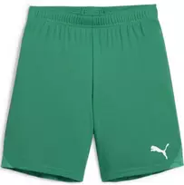 Puma Pums Šortai Paaugliams TeamGoal Shorts Jr Žalias 705753 05