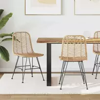 Valgomasis krėslas 2 pcs Ratanas ir Geležis Natūrali