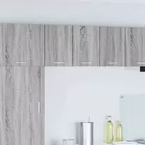 Pakabinama spintelė su saugykla 2 pcs Pilkas Sonoma ir baltas