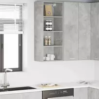 Pakabinama spintelė su saugykla Betono pilka 40 x 29,5 x 100 cm