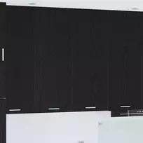 Pakabinama spintelė su saugykla Juodas ąžuolas 80 x 31 x 100 cm