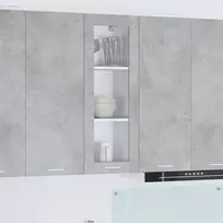 Pakabinama spintelė su saugykla Betono pilka 40 x 31 x 100 cm