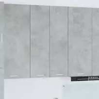 Pakabinama spintelė su saugykla Betono pilka 60 x 31 x 100 cm