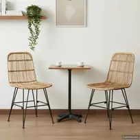 Valgomojo kėdė 2 pcs Natūrali 41 x 55 x 85 cm Ratana ir Plienas