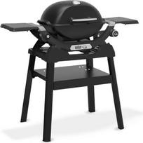 "WEBER Q 1200N" dujinė kepsninė su stovu Juoda