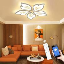 40 W - 60 W lubų lempa LED svetainės kambario lempa su nuotolinio valdymo pulteliu Programėlė keičia spalvą Šiuolaikinė svetainės kambario lempa Lubų lempa Energiją taupantis lubų apšvietimas Miegamojo lempa