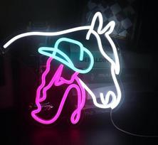 Arklių LED neoninis ženklas Dimmable Dekoratyvinė lempa gyvenamasis kambarys Barai Kirpyklos Vestuvių šalis Žaidimų kambarys Kalėdų menas Sienų apdaila USB maitinimas