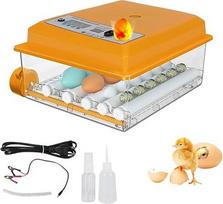 Automatinis inkubatorius Viščiukų inkubatorius su automatine sukimosi sistema ir temperatūros kontrole, 12-16 kiaušinių inkubatorius (geltonas 16)
