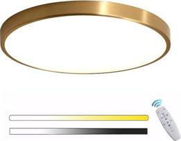 LED lubų šviestuvas Auksinis reguliuojamas lubų šviestuvas su nuotolinio valdymo pulteliu Apvalus plokščias lubų šviestuvas Auksinis miegamasis Modernus uždaras prieškambario gyvenamasis kambarys Virtuvė Balkonas Vonios kambarys Persirengimo kambario apšv