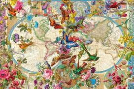 Ravensburger Dėlionė 17117 Pasaulio žemėlapis su drugeliais 3000 dalių Dėlionė