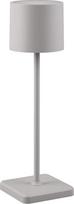 Reality Leuchten Fernandez R54096177 LED akumuliatorinis lauko stalinis šviestuvas Metalinė / plastikinė pilka su 1,5 W LED įkrovimo stotele