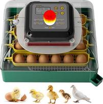 Visiškai automatinis inkubatorius, 24 kiaušiniai, inkubatorius, inkubatorius su temperatūros reguliavimu, kiaušinių apsisukimo lempa, inkubatorius viščiukams, antims, putpelėms
