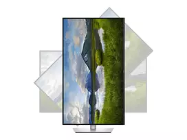 Dell P3225QE | 32 " | IPS | 4K UHD | 16:9 | 100 Hz | 5 ms | 3840 x 2160 pixels | 350 cd/m² | HDMI ports quantity 1 | Warranty 60 month(s)