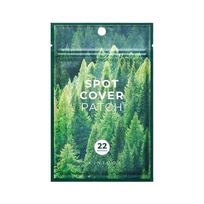 Skin1004 pleistrai nuo spuogų Tea-Trica Spot Cover Patch, 22 vnt.