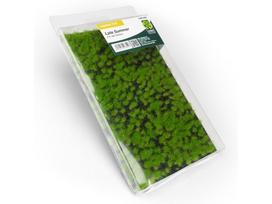 AMMO MIG - LAYERED TUFT - Late Summer, 8854