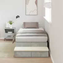 Lova su daiktų laikymo vieta su stalčių Betono pilka 100 cm