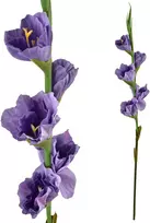 Mondex Since 1986 VIRIDIS Dirbtinė gėlė Kardelis 85cm gumuota