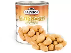 Sūdyti žemės riešutai SALYSOL, 60 g