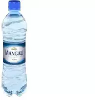 Mineralinis vanduo MANGAĻI gazuotas, PET, 0,5 l