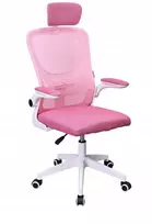 Biuro ir žaidimų kėdė su ergonominiu tinkleliu PRO