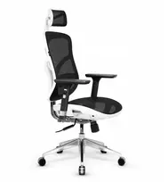 Ergonominė biuro kėdė DIABLO V-BASIC balta-juoda