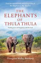 The Elephants of Thula Thula: Finding peace and happiness with the herd