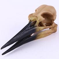 Dinozaurų Paukščių Kaukolės Dervos Amatai Taro Varnos Kaukolės Dekoracija Dinozauro Skeletas beige