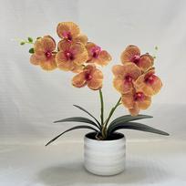 Multi-Bloom Simulated Butterfly Orchid White Flower Pot Faux Flowers Artificial Faux Plants DIY Artificial Orchid Bonsai