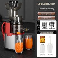 OLOEY Cold Press Juicer